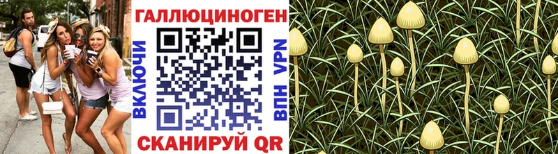 Псилоцибиновые грибы GOLDEN TEACHER  Богучар 